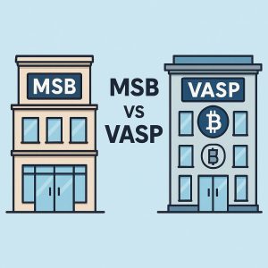 Сравнение лицензий MSB и VASP: что выбрать криптостартапу в 2025 году?